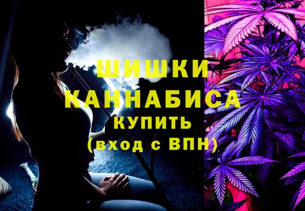 ПСИЛОЦИБИНОВЫЕ ГРИБЫ Гусь-Хрустальный