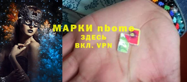 ПСИЛОЦИБИНОВЫЕ ГРИБЫ Гусь-Хрустальный