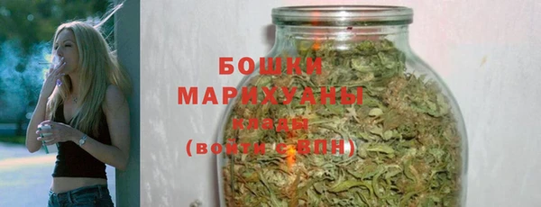 не бодяженный Горно-Алтайск