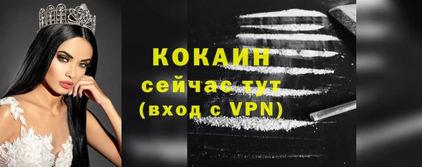 не бодяженный Горно-Алтайск