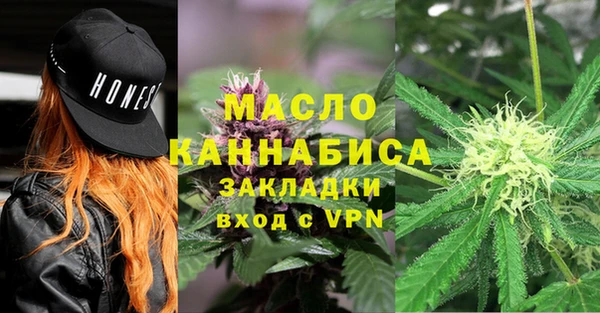 молекула духа Гусиноозёрск