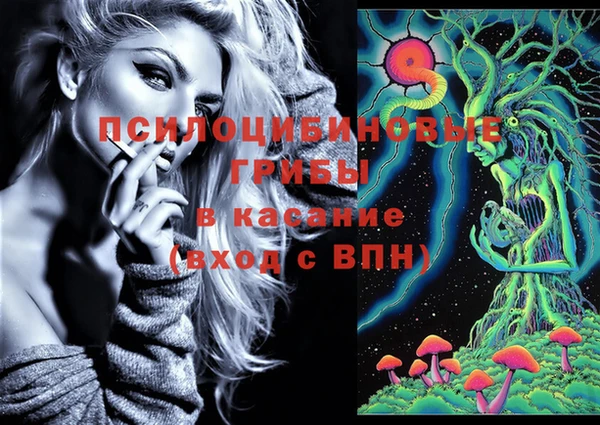 бутират Горняк