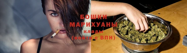 не бодяженный Горно-Алтайск