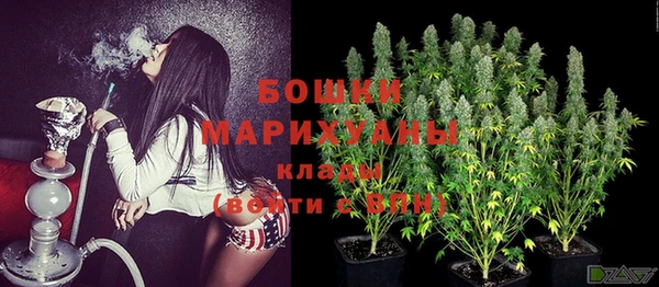 не бодяженный Горно-Алтайск