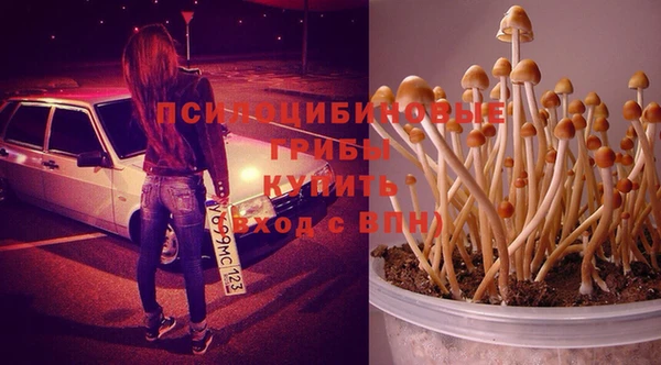 бутират Горняк
