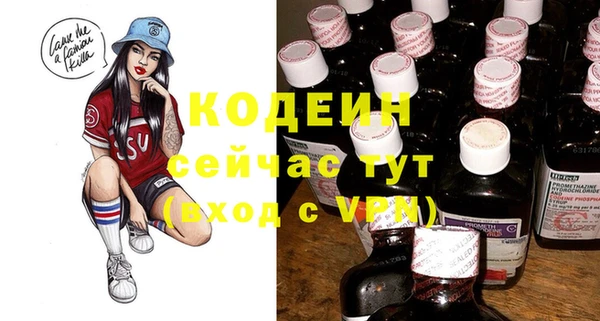 ПСИЛОЦИБИНОВЫЕ ГРИБЫ Гусь-Хрустальный